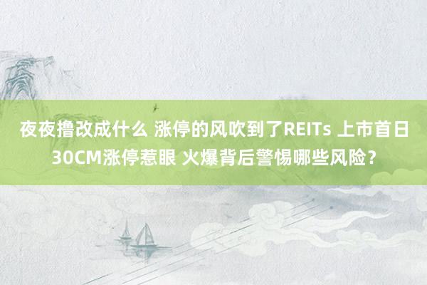 夜夜撸改成什么 涨停的风吹到了REITs 上市首日30CM涨停惹眼 火爆背后警惕哪些风险？