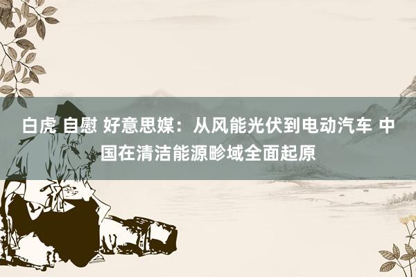 白虎 自慰 好意思媒：从风能光伏到电动汽车 中国在清洁能源畛域全面起原