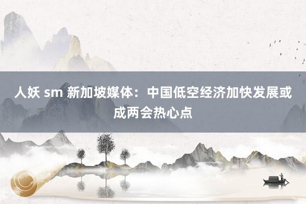人妖 sm 新加坡媒体：中国低空经济加快发展或成两会热心点