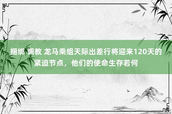 捆绑 调教 龙马乘组天际出差行将迎来120天的紧迫节点，他们的使命生存若何