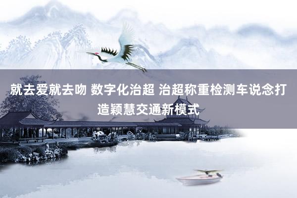 就去爱就去吻 数字化治超 治超称重检测车说念打造颖慧交通新模式