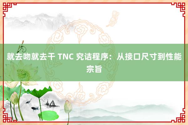 就去吻就去干 TNC 究诘程序：从接口尺寸到性能宗旨