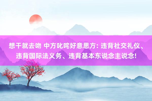 想干就去吻 中方叱咤好意思方: 违背社交礼仪、违背国际法义务、违背基本东说念主说念!