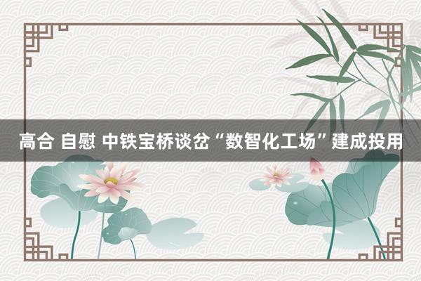 高合 自慰 中铁宝桥谈岔“数智化工场”建成投用