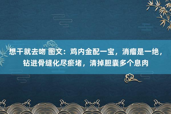 想干就去吻 图文：鸡内金配一宝，消瘤是一绝，钻进骨缝化尽瘀堵，<a href=