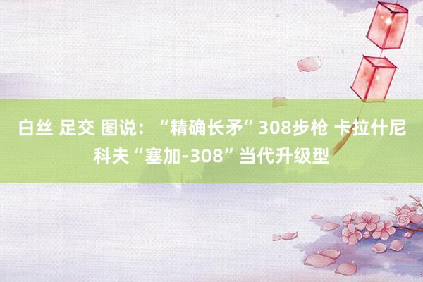 白丝 足交 图说：“精确长矛”308步枪 卡拉什尼科夫“塞加-308”当代升级型